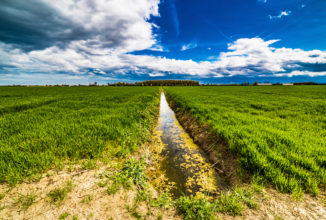 MIGLIORAMENTI AMBIENTALI IN AGRICOLTURA