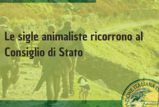 Sentenza Tar Lombardia: le associazioni animaliste ricorrono al Consiglio di Stato