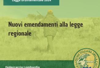 Legge di revisione normativa ordinamentale: i nuovi emendamenti per la caccia