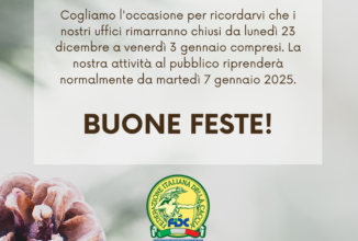 AUGURI DI BUON NATALE E FELICE ANNO NUOVO