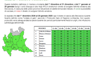 AGGIORNAMENTO SETTIMANALE METEO BECCACCIA