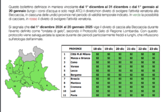 AGGIORNAMENTO SETTIMANALE METEO BECCACCIA